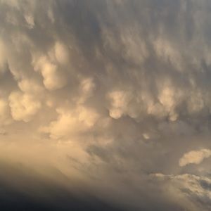 Meet your Posher, Mehh